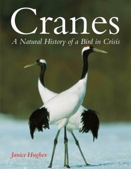 Hardcover Cranes: A Natural History of a Bird in Crisis Book