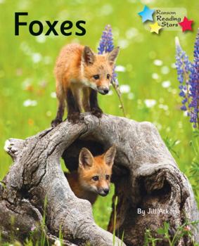 Paperback Foxes Book
