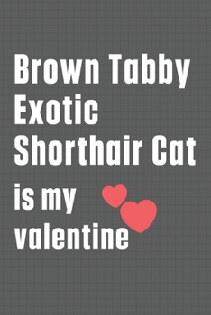 Brown Tabby Exotic Shorthair Cat is my valentine: For Brown Tabby Exotic Shorthair Cat Fans