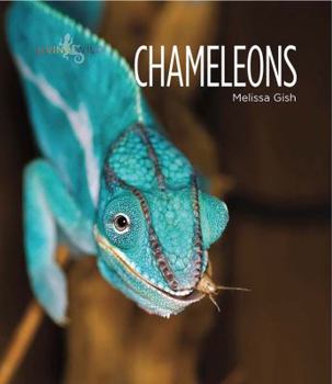 Chameleons - Book  of the Living Wild