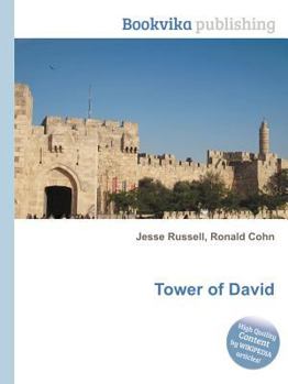 Paperback Tower of David Book