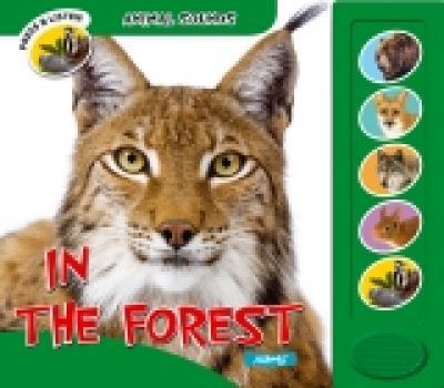 Board book In the Forest Book