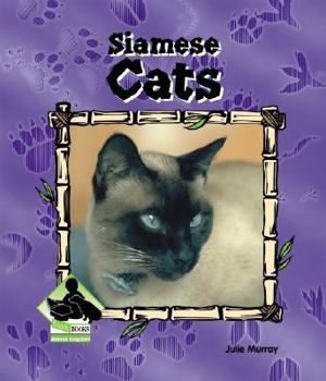 Siamese Cats - Book  of the Buddy Books