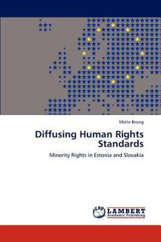 Paperback Diffusing Human Rights Standards Book