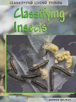 Hardcover Classifying Insects Book