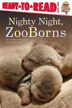Paperback Nighty Night, Zooborns: Ready-To-Read Level 1 Book