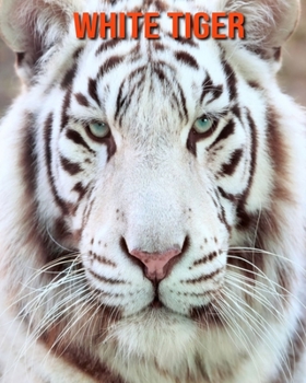 Paperback White Tiger: Beautiful Pictures & Interesting Facts Children Book About White Tiger Book