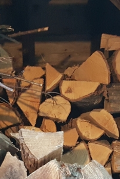 2020 Daily Planner Rustic Firewood Sticks Woodshed Photo 388 Pages: 2020 Planners Calendars Organizers Datebooks Appointment Books Agendas