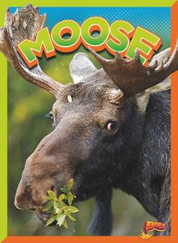 Paperback Moose Book