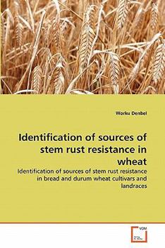 Paperback Identification of sources of stem rust resistance in wheat Book