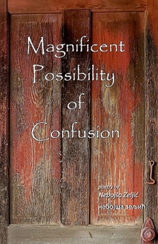 Paperback Magnificent Possibility of Confusion Book
