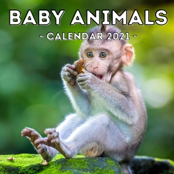 Paperback Baby Animals Calendar 2021: 16-Month Calendar, Cute Gift Idea For Animal Lovers, Women & Men Book