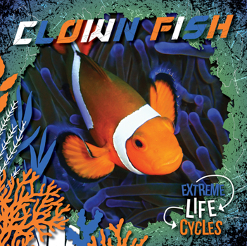 Paperback Clown Fish Book