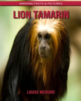 Lion Tamarin: Amazing Facts & Pictures