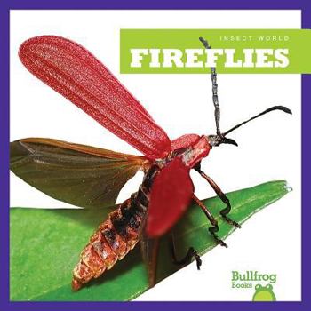 Fireflies - Book  of the Insect World