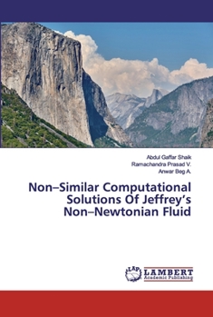 Paperback Non-Similar Computational Solutions Of Jeffrey's Non-Newtonian Fluid Book