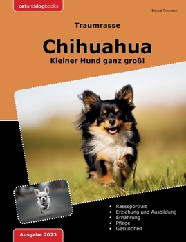 Traumrasse: Chihuahua: Kleiner Hund ganz groß!