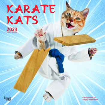 Karate Kats 2023 Square