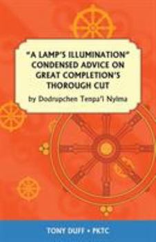 Paperback A Lamp's Illumination Condensed Advice on Great Completion's Thorough Cut Book