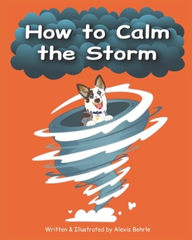 Paperback How to Calm the Storm Book