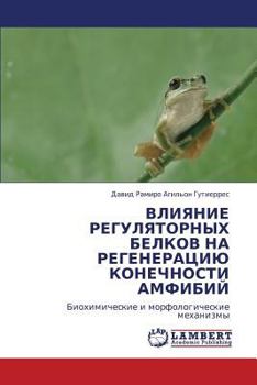 Vliyanie Regulyatornykh Belkov Na Regeneratsiyu Konechnosti Amfibiy