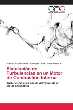 Paperback Simulación de Turbulencias en un Motor de Combustión Interna [Spanish] Book