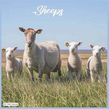 Paperback Sheeps 2021 Wall Calendar: Official Sheeps 2021 Wall Calendar 18 months Book