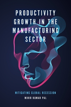 Hardcover Productivity Growth in the Manufacturing Sector: Mitigating Global Recession Book