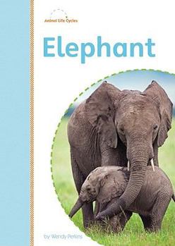 Library Binding Elephant Book