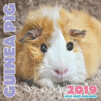 Paperback Guinea Pig 2019 Mini Wall Calendar Book