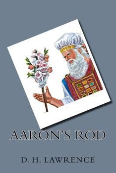 Paperback Aaron's Rod Book