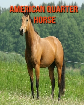 Paperback American Quarter Horse: Fun Facts and Amazing Photos of Animals in Nature Book