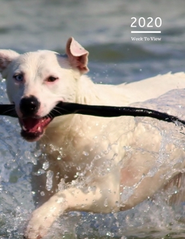 2020 A4 Diary Week To View Planner For All Occasions: | Year Planner For Business, Office, Home, University, College, School, Appointments, Organizer.