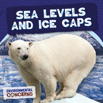 Paperback Sea Levels and Ice Caps Book