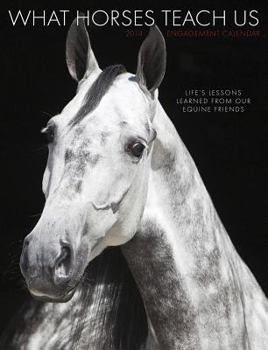 Calendar What Horses Teach Us 2014 Calendar Book