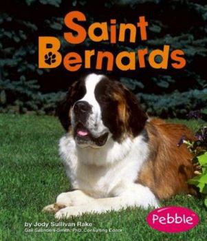 Saint Bernards (Pebble Books) - Book  of the Dogs Library