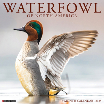 Calendar Waterfowl 2025 12 X 12 Wall Calendar Book