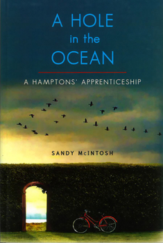 Paperback Hole in the Ocean: A Hamptons' Apprenticeship Book