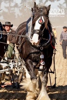 2020 A5 Diary Week To View Planner For All Occasions: | Year Planner For Business, Office, Home, University, College, School, Appointments, farming