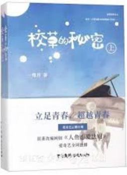 Paperback The Secret of the Handsome Boy (Chinese Edition) [Chinese] Book