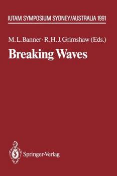 Paperback Breaking Waves: Iutam Symposium Sydney, Australia 1991 Book