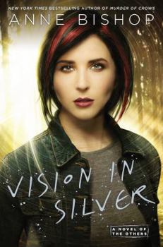 Hardcover Vision in Silver Book