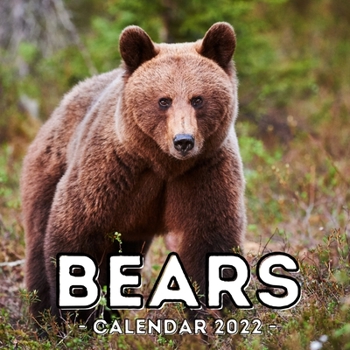 Bears Calendar 2022: 16-Month Calendar, Cute Gift Idea For Bear Lovers Women & Men