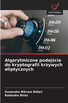 Algorytmiczne podejście do kryptografii krzywych eliptycznych