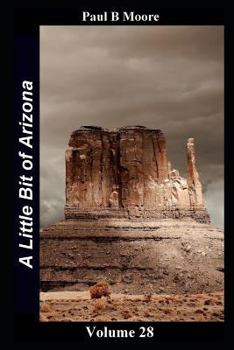 Paperback A Little Bit of Arizona: Volume 28 Book