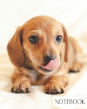 Paperback Notebook: Large College Ruled Notebook for Everyday Use Cute Dachschund Puppy Dog Book