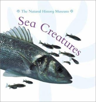 Hardcover Sea Creatures Book