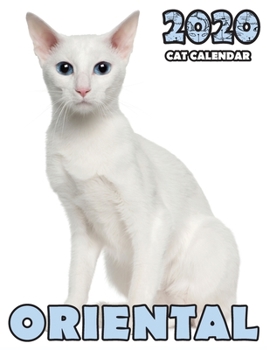 Paperback Oriental 2020 Cat Calendar Book