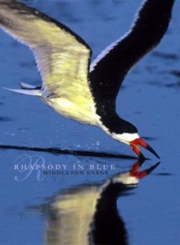 Hardcover Rhapsody in Blue: A Celebration of North American Waterbirds Book