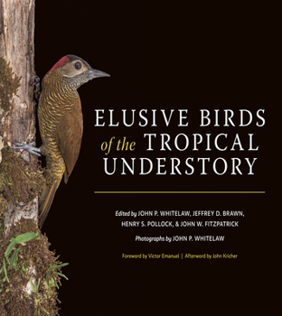 Misc. Elusive Birds of the Tropical Understory Book